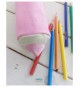 Ръчно изработен несесер за ученически принадлежности МОЛИВ